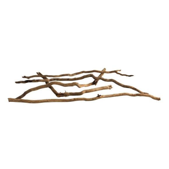 Natural Driftwood Pieces For Crafting & Home Decor 5 pieces - Picture 6 of 11